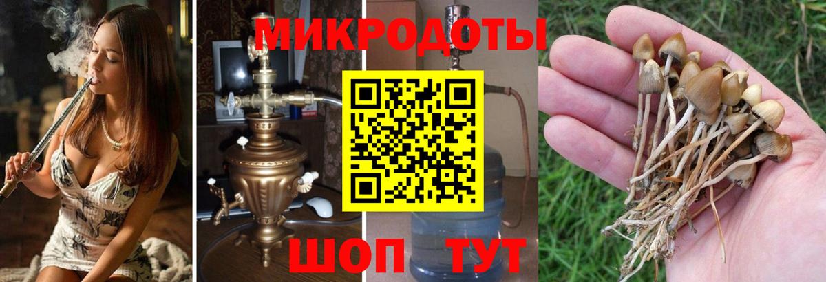 Каменск-Уральский  Галлюциногенные грибы мицелий  Вход с VPN  Псилоцибиновые грибы прущие грибы 
