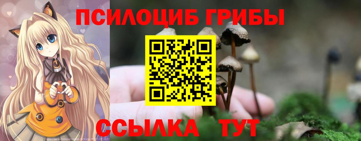 Псилоцибиновые грибы мухоморы Каменск-Уральский